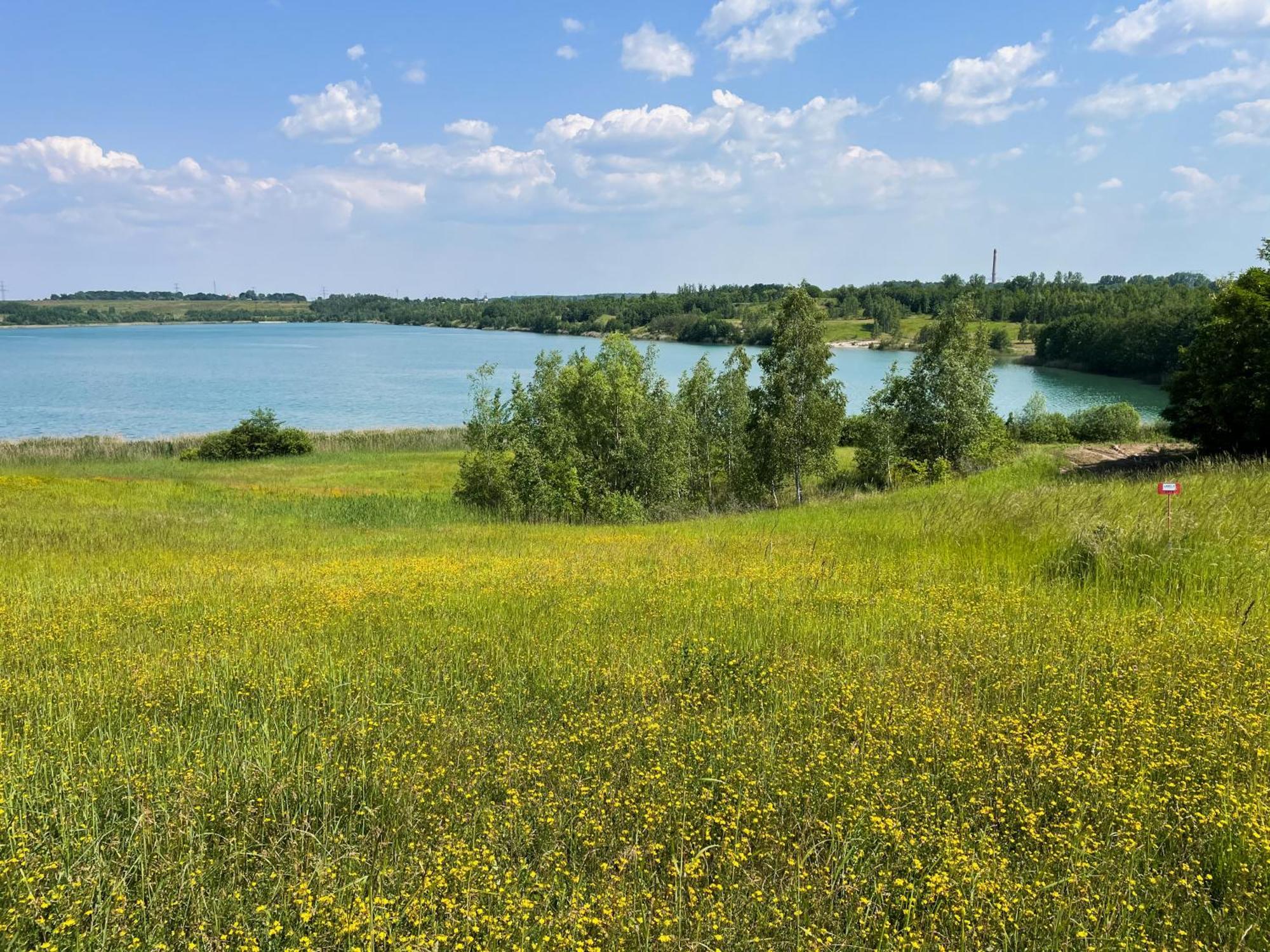 Haus Im Schilf 2 - Ferienwohnungen Am Hainer See Bei Leipzig Neukieritzsch Exterior foto